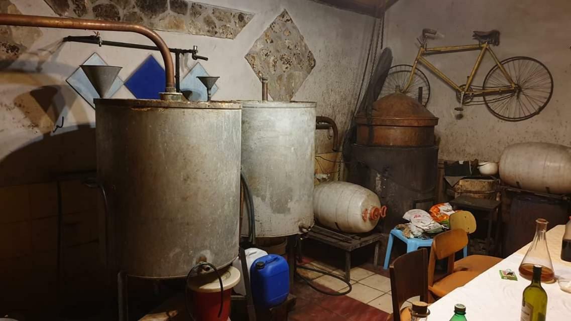 Apartman Bruna Šibenik Extérieur photo